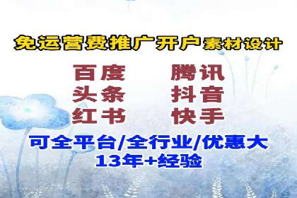 某电商平台sem竞价运营的突破与挑战